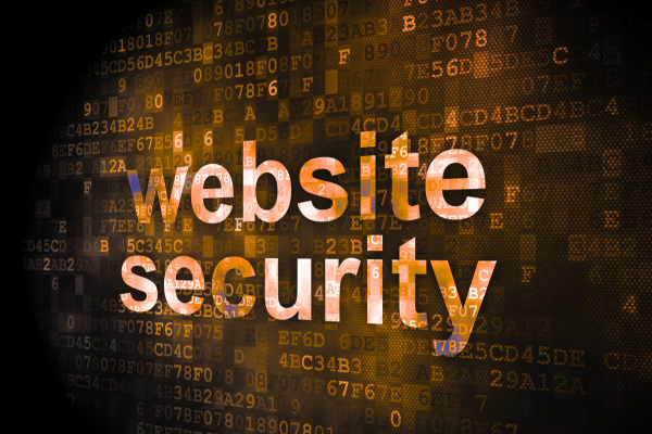 web security